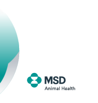 MSD Animal Health China