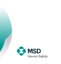 MSD Hayvan Sagligi Türkiye
